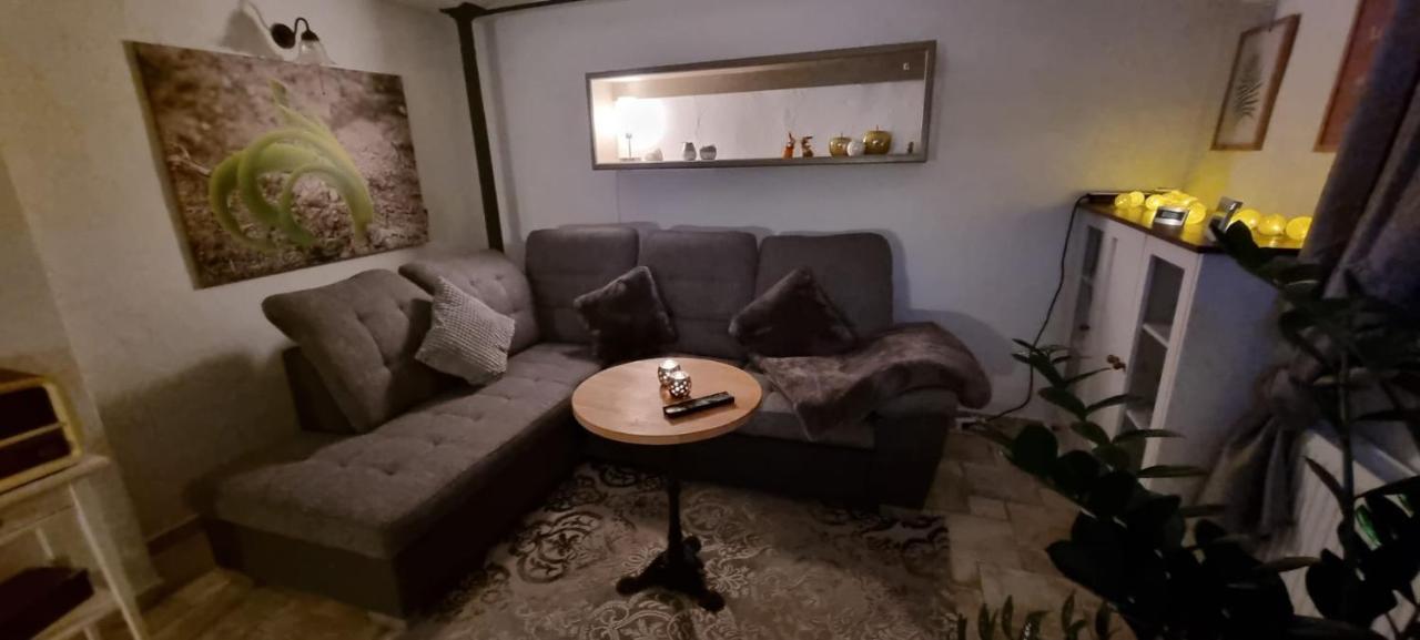 Monteur-Ferienwohnung Ot Naundorf Naundorf  Extérieur photo
