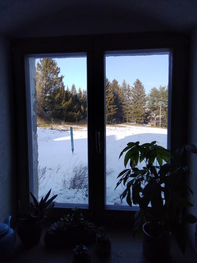 Monteur-Ferienwohnung Ot Naundorf Naundorf  Extérieur photo